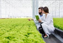Agricultural Consulting